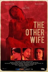 The Other Wife