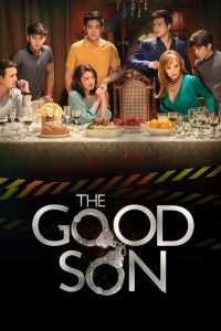 The Good Son